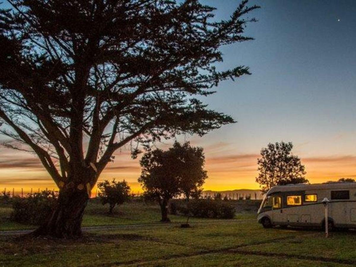 Mahia Motel And Holiday Park Bagian luar foto